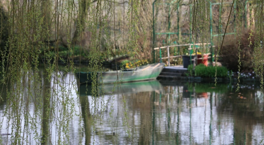 сад моне фото