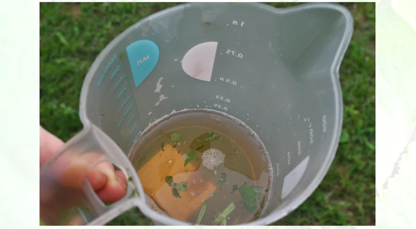 чем подкормить огурцы в парнике в июле