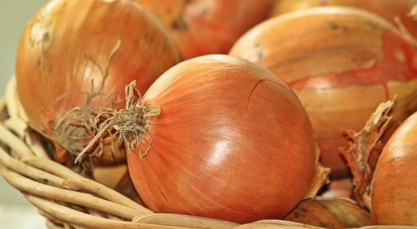 чем подкормить огурцы в середине июля