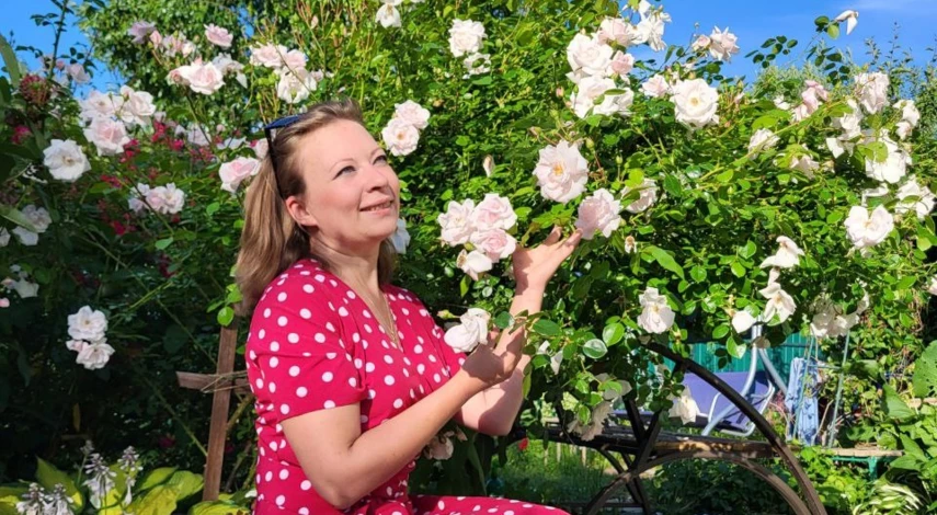 подкормка для цветения роз в июле