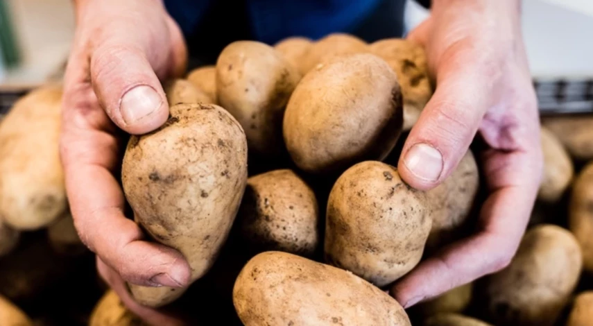 уборка урожая в сентябре