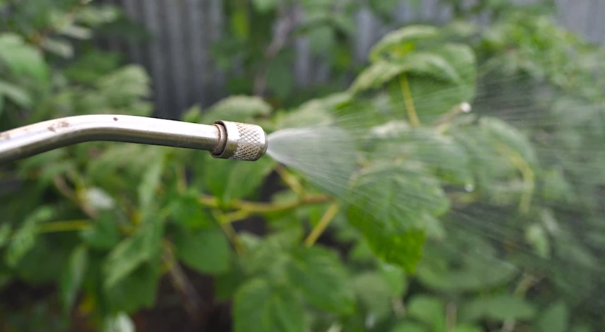 чем удобрить малину после обрезки в августе