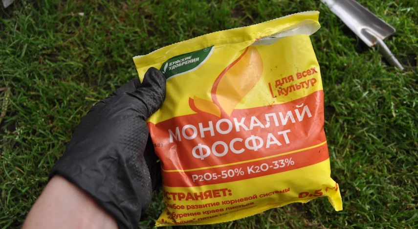 обрезают ли малину в августе