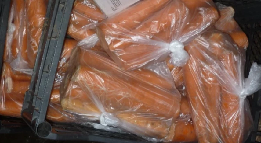 болезни моркови фото описание