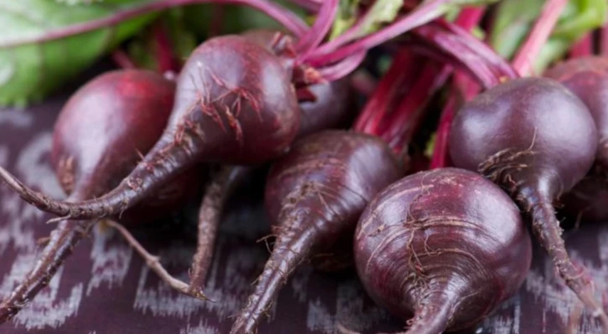 болезни свеклы фото