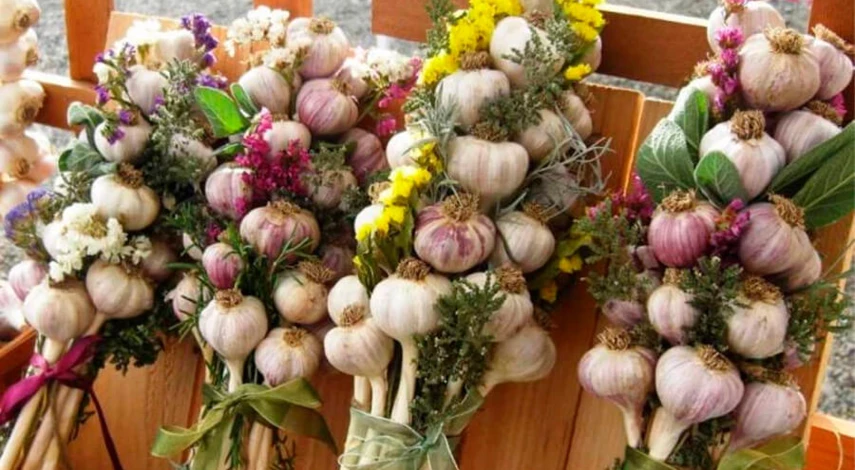 как хранить чеснок дома