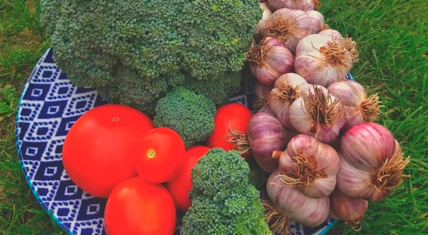 как хранить чеснок в домашних условиях