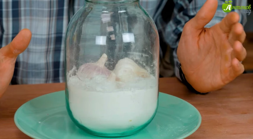 хранение чеснока в банке