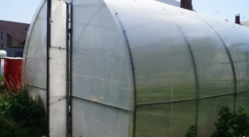 чем обработать теплицу из поликарбоната осенью