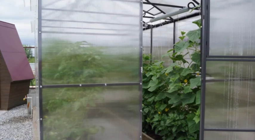 обработка теплиц осенью из поликарбоната