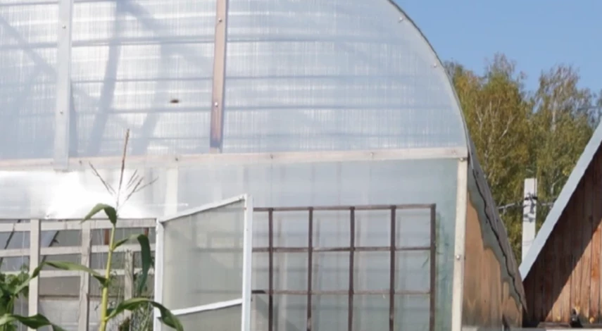 обработка теплиц из поликарбоната