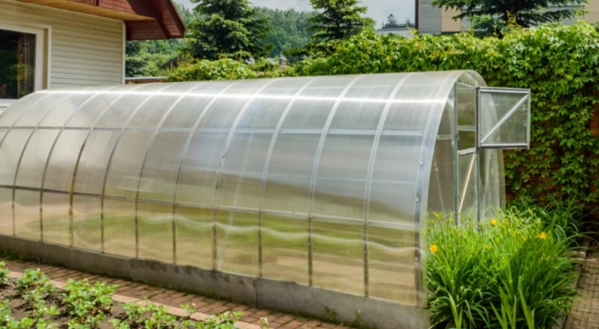 чем обработать теплицу на зиму из поликарбоната