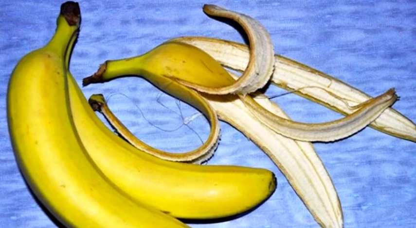 чем подкормить смородину осенью