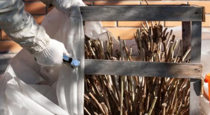 лунный календарь огородника 2025