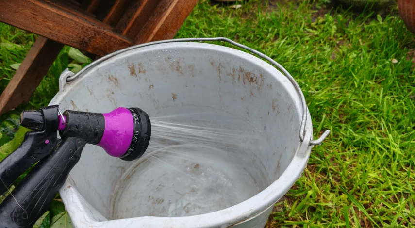 осенняя подкормка вишни