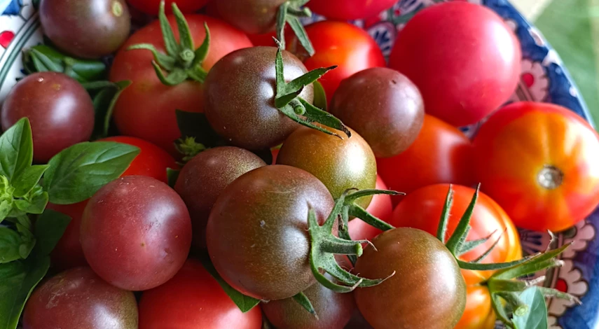 сохранить помидоры свежими подольше в домашних условиях