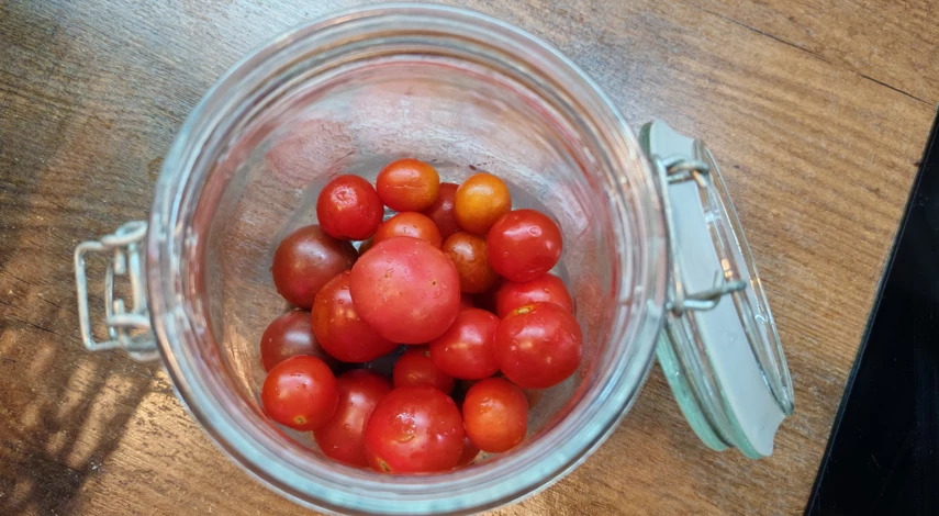 как сохранить помидоры в свежем виде