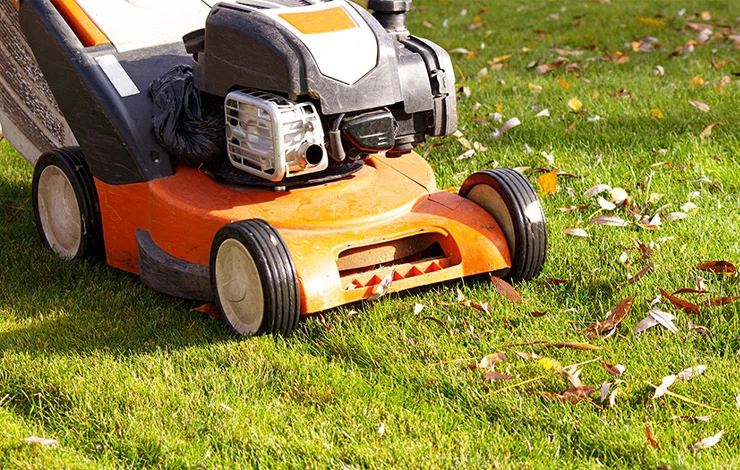 стрижка газона в октябре