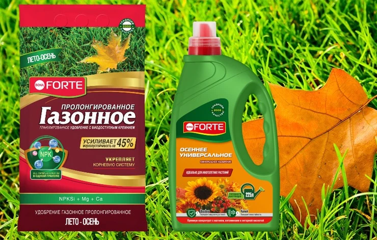 уход за газоном осенью