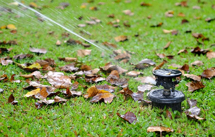 уход за газоном перед зимой