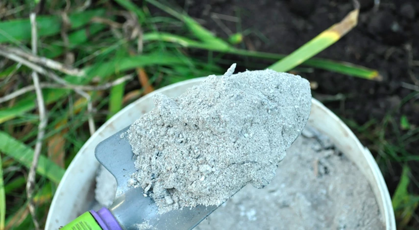 сажать тюльпаны осенью в открытый грунт когда