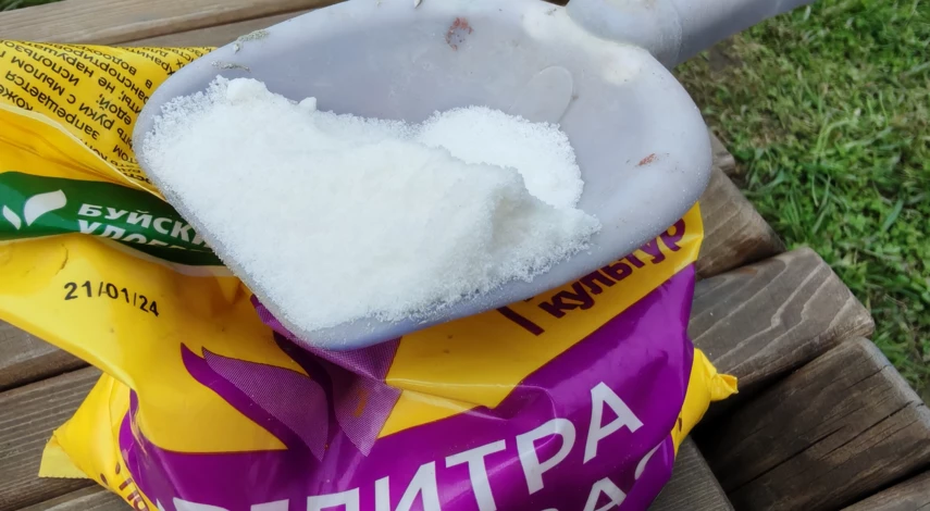 чем подкормить малину осенью после обрезки