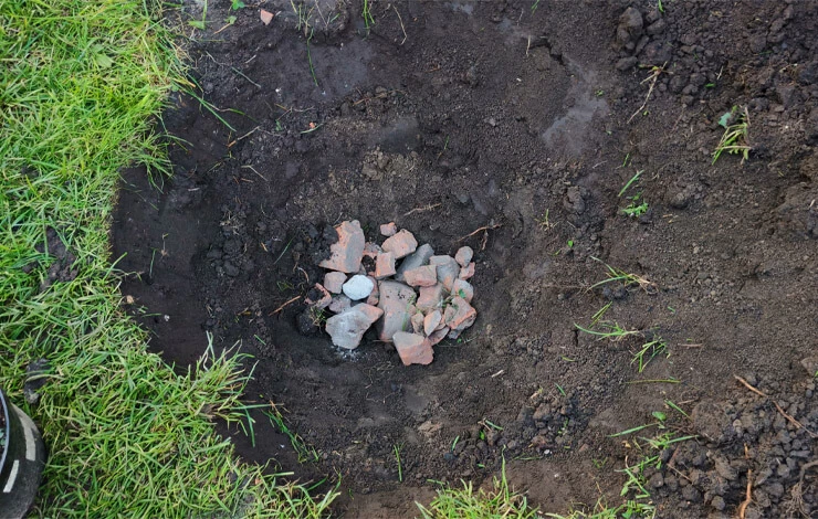 посадка яблони осенью саженцами в открытый