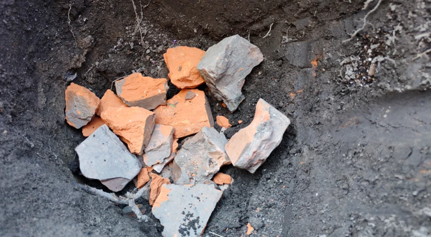 пересадить розы осенью на другое