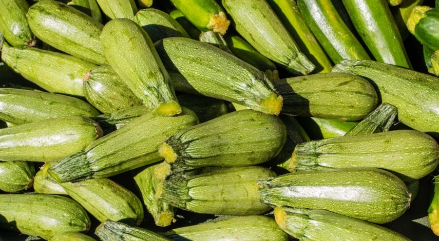 как хранить кабачки на зиму