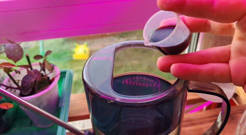 как размножить розу черенками от куста