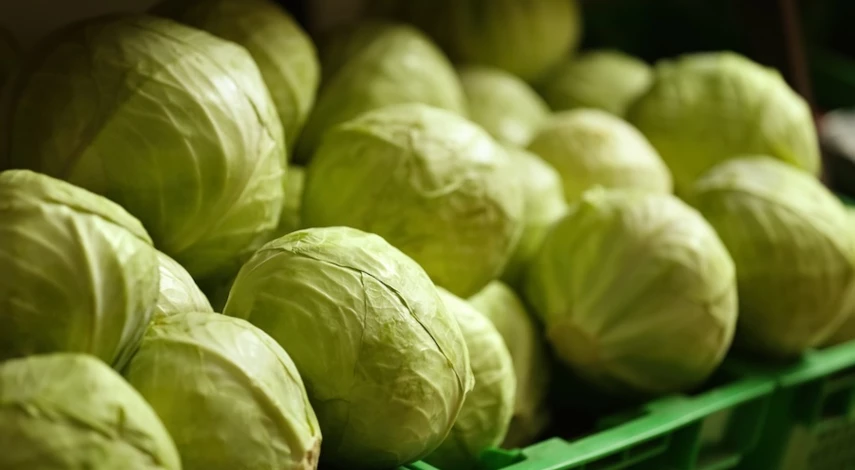 капуста под железные крышки