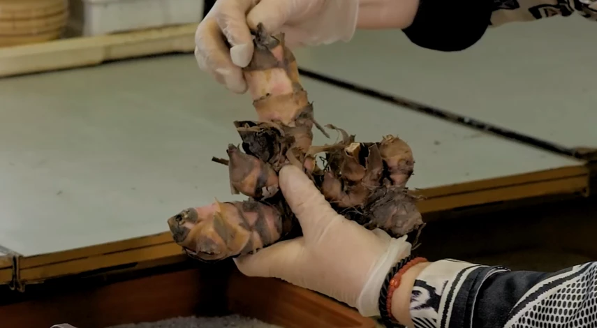 канны хранение