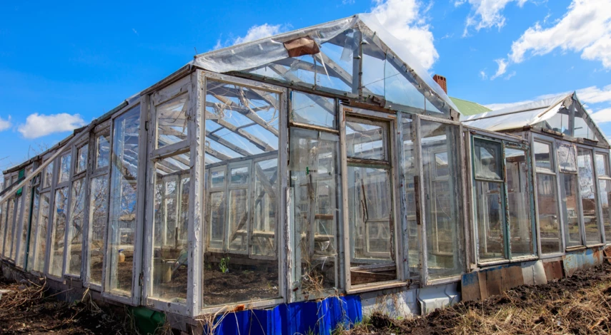 обработка теплиц от вредителей