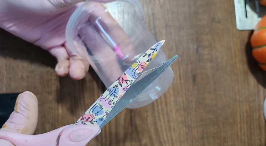 размножение туи семенами