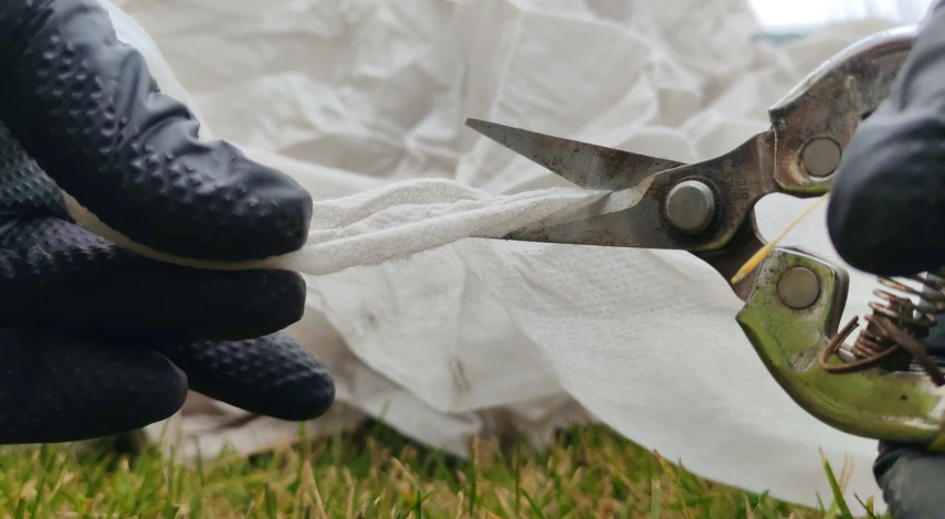 как укрыть туи на зиму