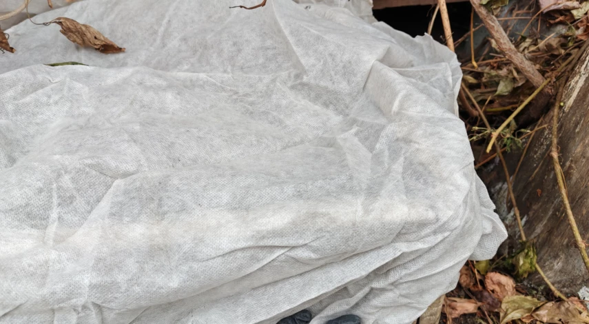 как укрыть туи на зиму маленькие