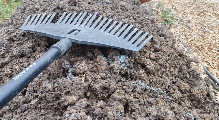 лучшие сорта моркови для посева под зиму