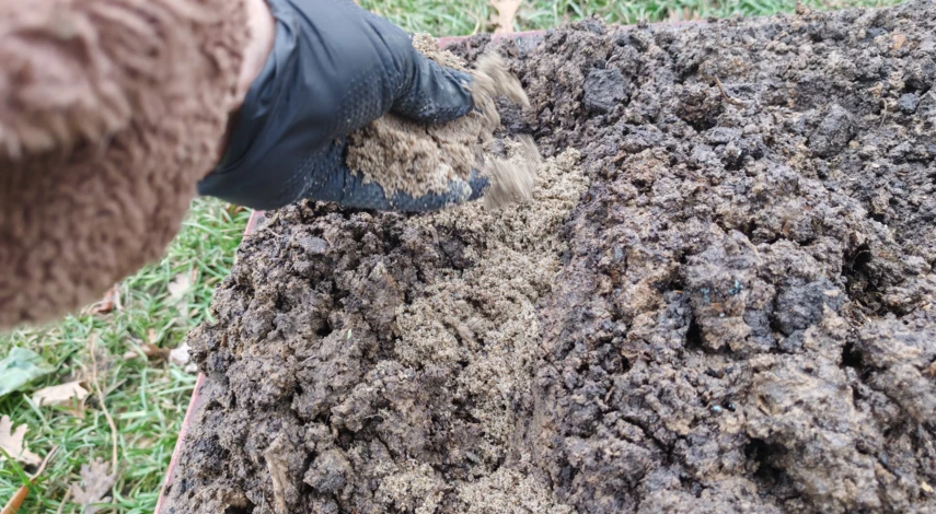 посев моркови под зиму в сибири