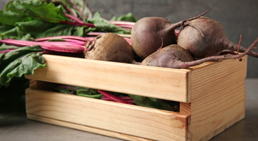 как сохранить свеклу в погребе