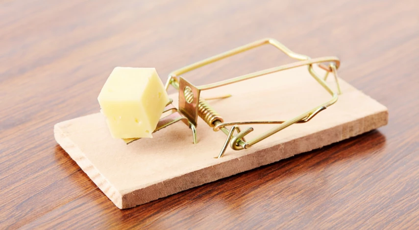 подготовка дачи к зиме осенью