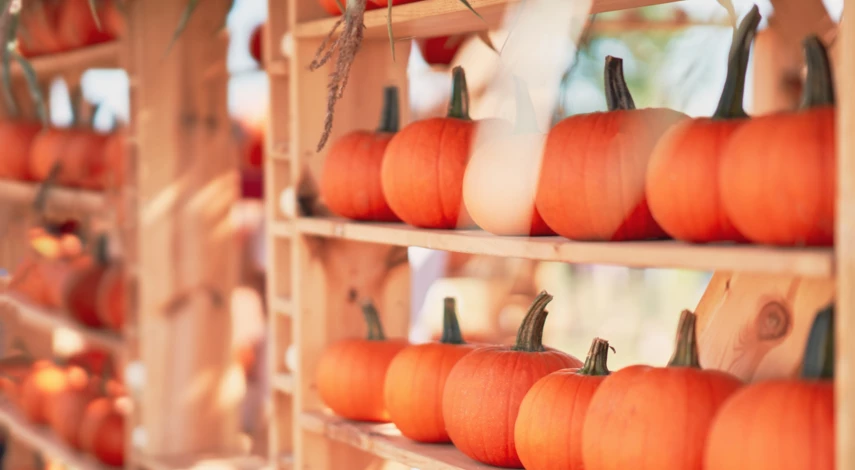 как хранить тыкву в домашних