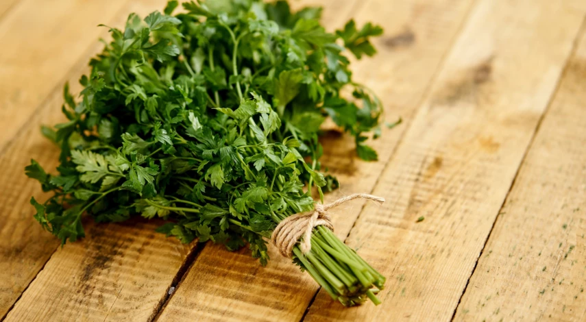когда сажать петрушку под зиму