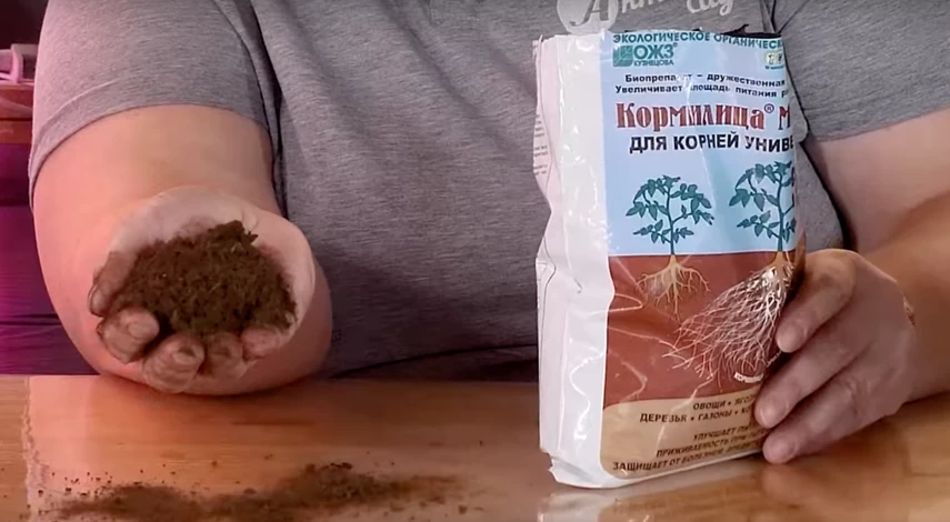 микориза для рассады способ