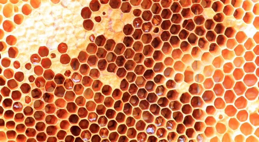 как хранить мед