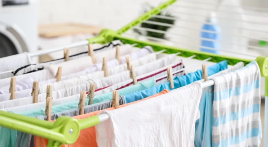 комнатные растения цветущие зимой