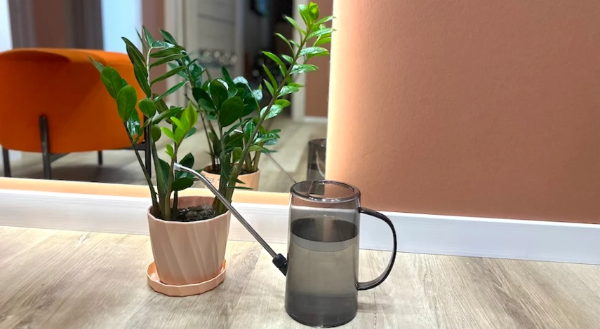 уход за комнатными растениями зимой