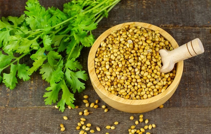 зелень на подоконнике в квартире