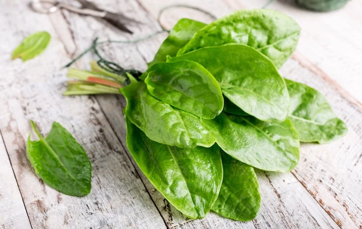 зелень в домашних условиях на подоконнике