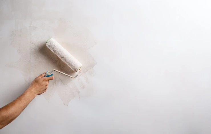 черная плесень в доме