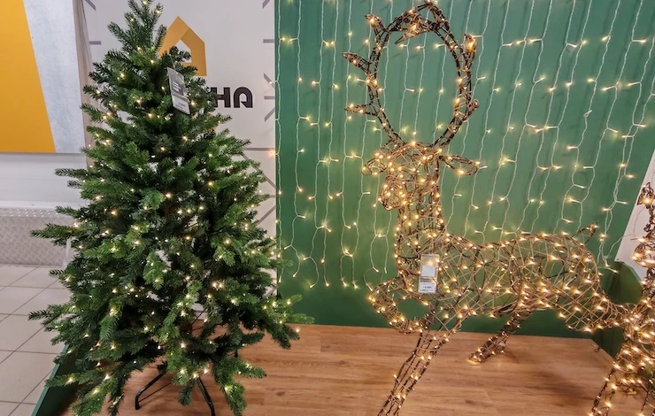 как выбрать елку для дома